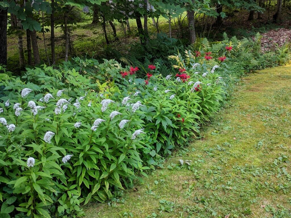 504 Elm Hill Road Paris, ME 04281 - Photo 46 of 50 flower bed