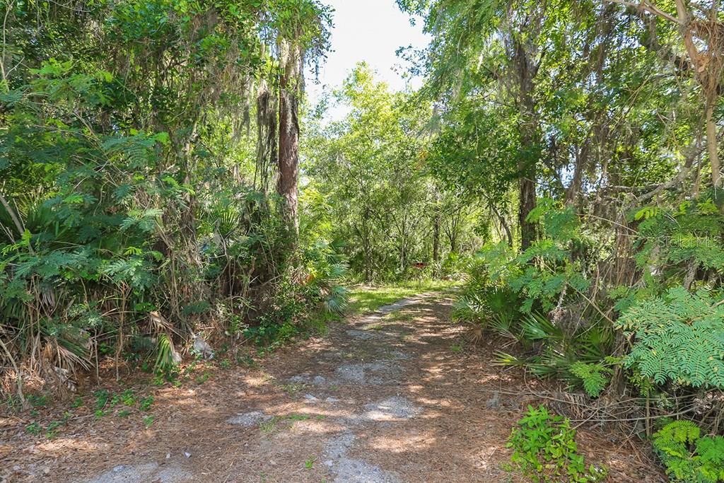 5112 Ruth Morris Road Wimauma, FL 33598 - Photo 1 of 1 Gallery Image 1