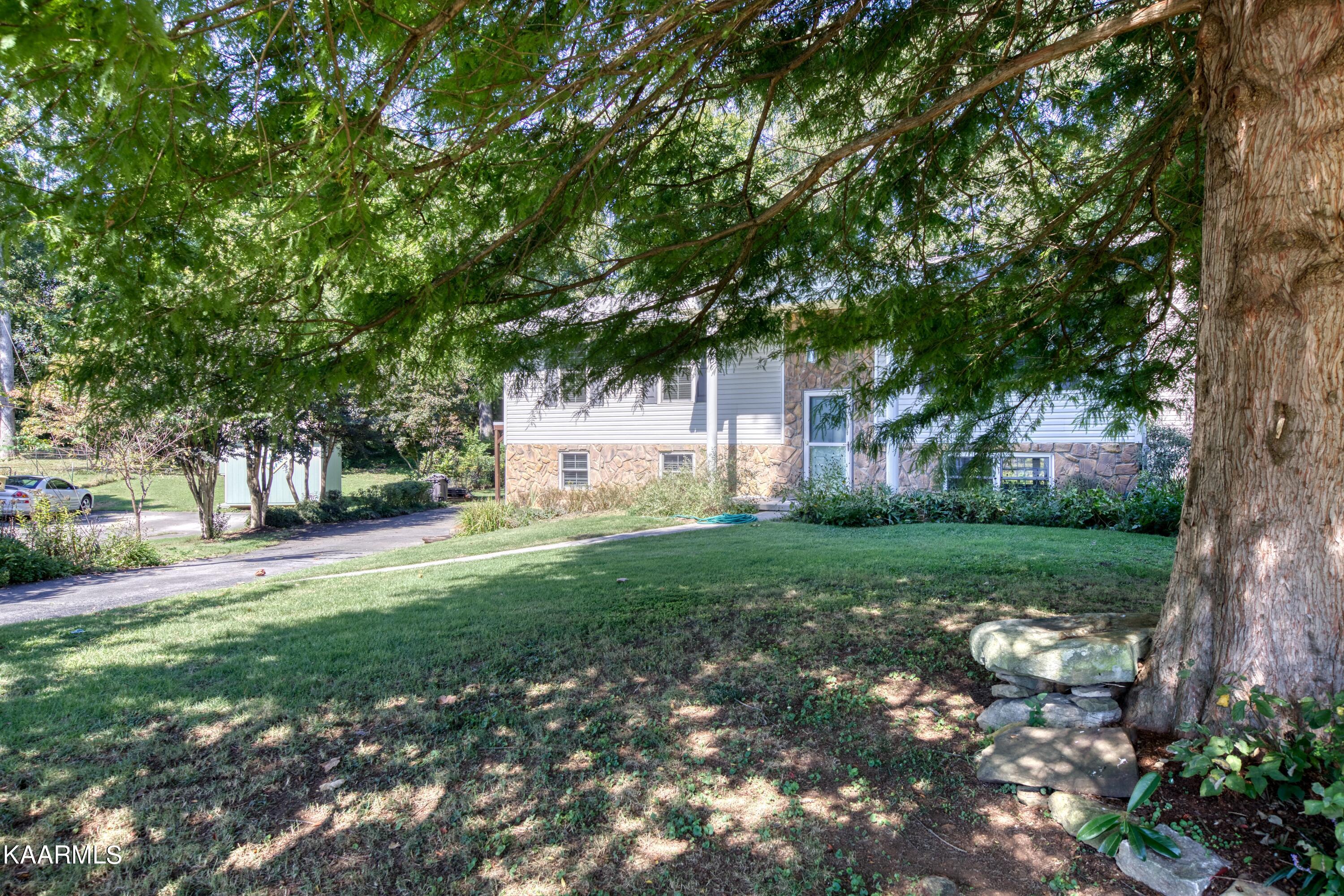 600 Worcester Road Knoxville, TN 37934 - Photo 31 of 38 Shady front yard