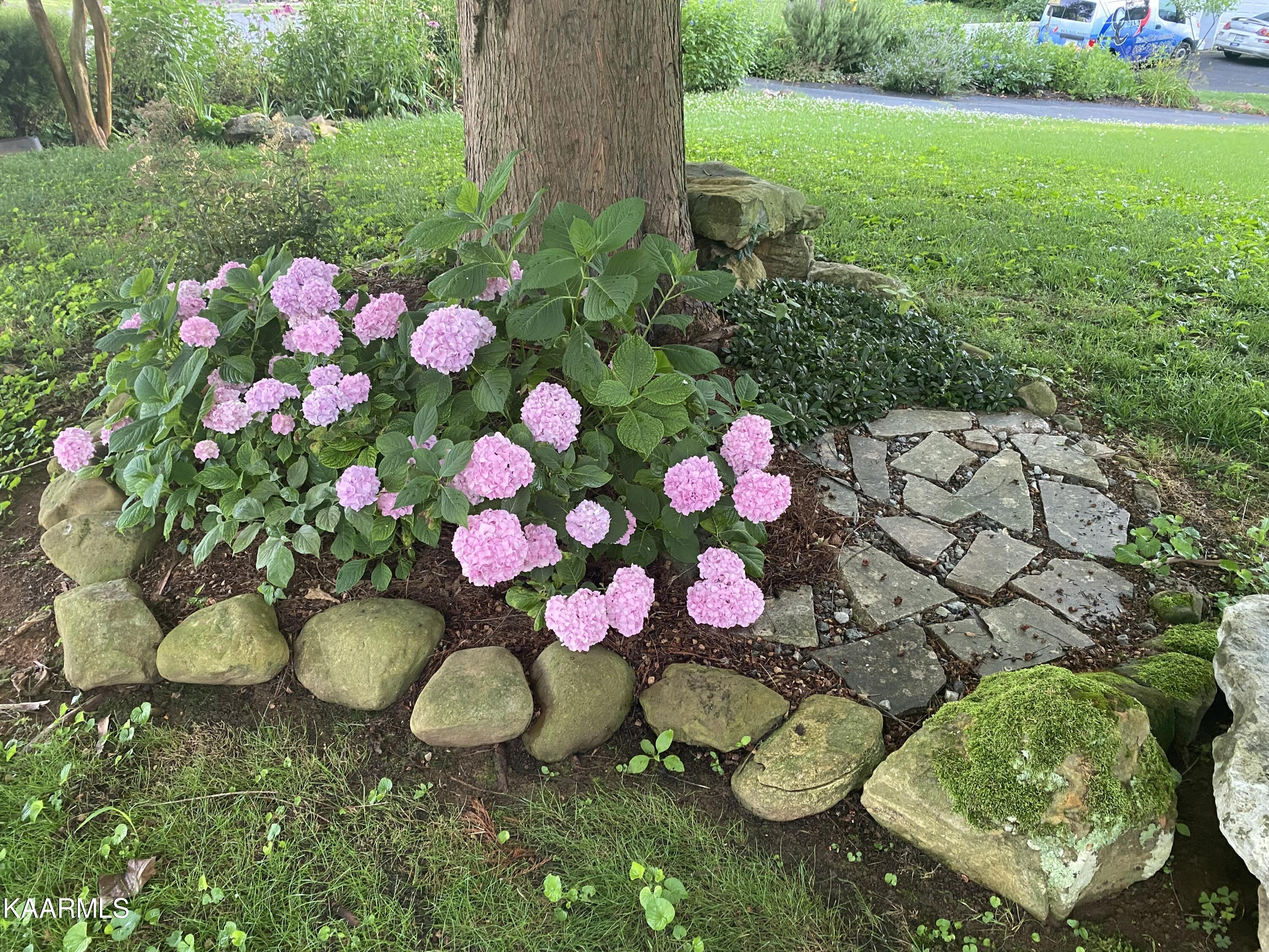 600 Worcester Road Knoxville, TN 37934 - Photo 32 of 38 Spring/Summer