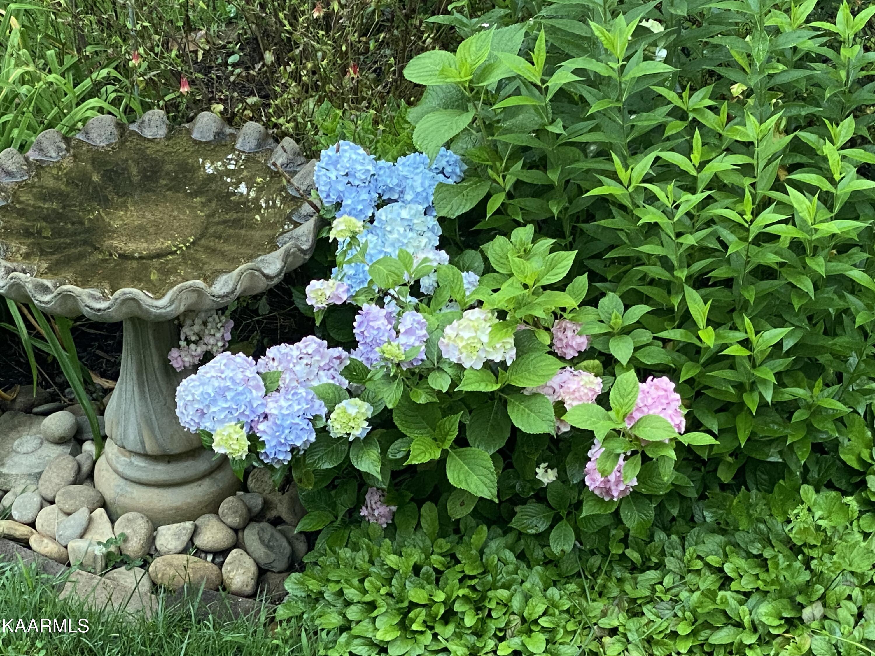 600 Worcester Road Knoxville, TN 37934 - Photo 33 of 38 Bird bath