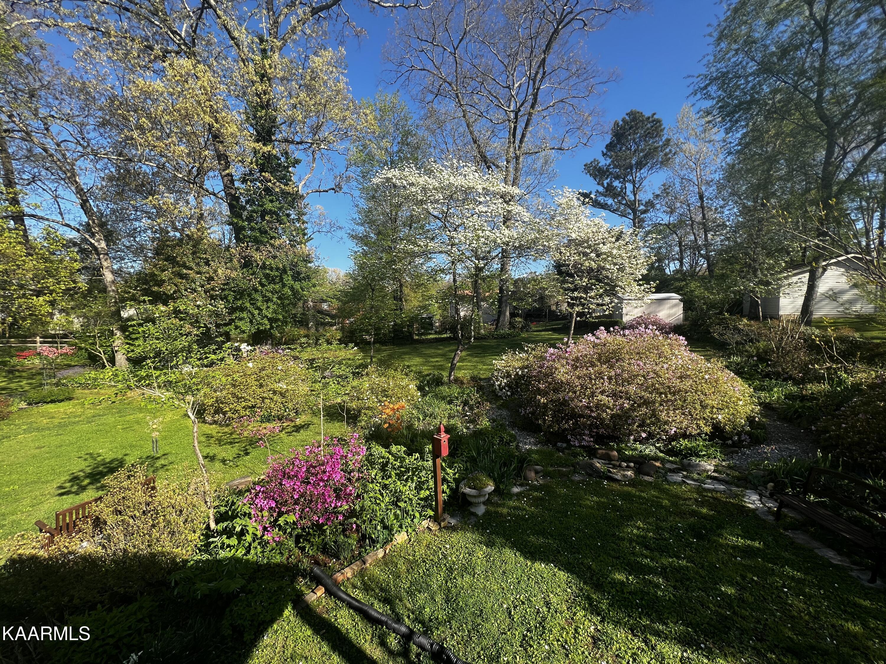 600 Worcester Road Knoxville, TN 37934 - Photo 34 of 38 Early Spring