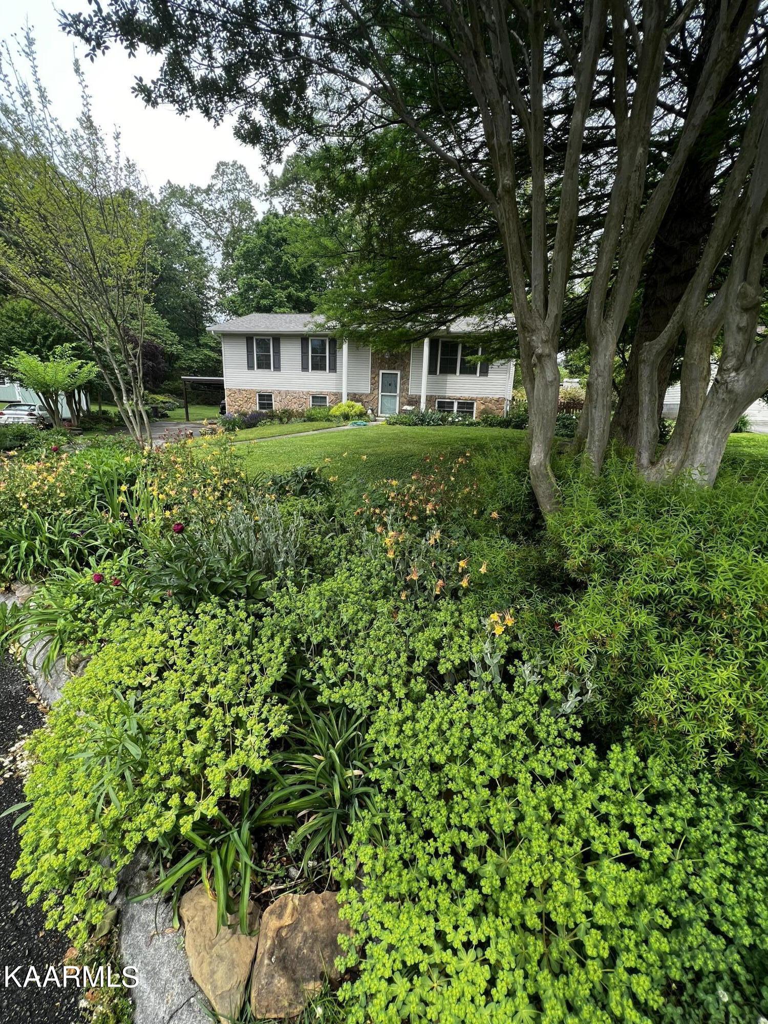 600 Worcester Road Knoxville, TN 37934 - Photo 36 of 38 Lush and green