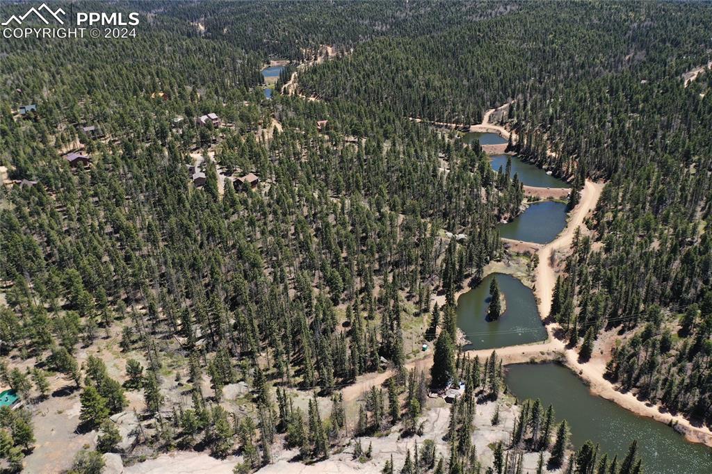 143 Wahsatch Road Florissant, CO 80816 - Photo 7 of 50 an aerial view of residential house with outdoor space