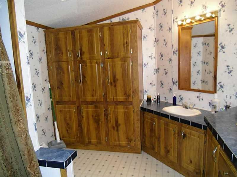 183 Harshaville Road Clinton, PA 15026 - Photo 14 of 18 Master Bath/Spa.