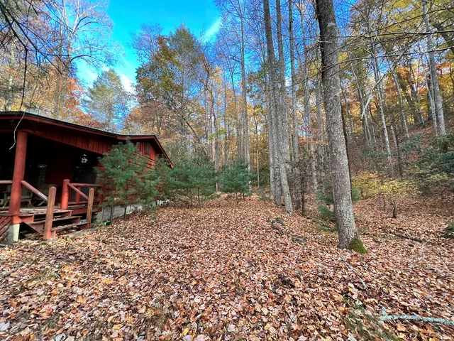 a view of a chairs and table in a backyard
