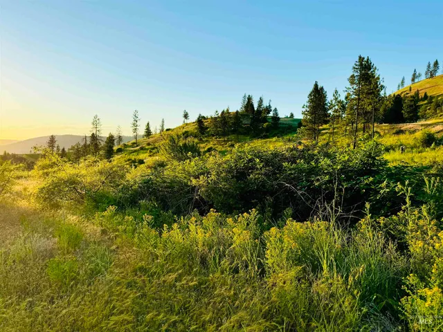 $175,000 | Tbd Lot #3 Beaverslide Road, Kamiah, ID 83536