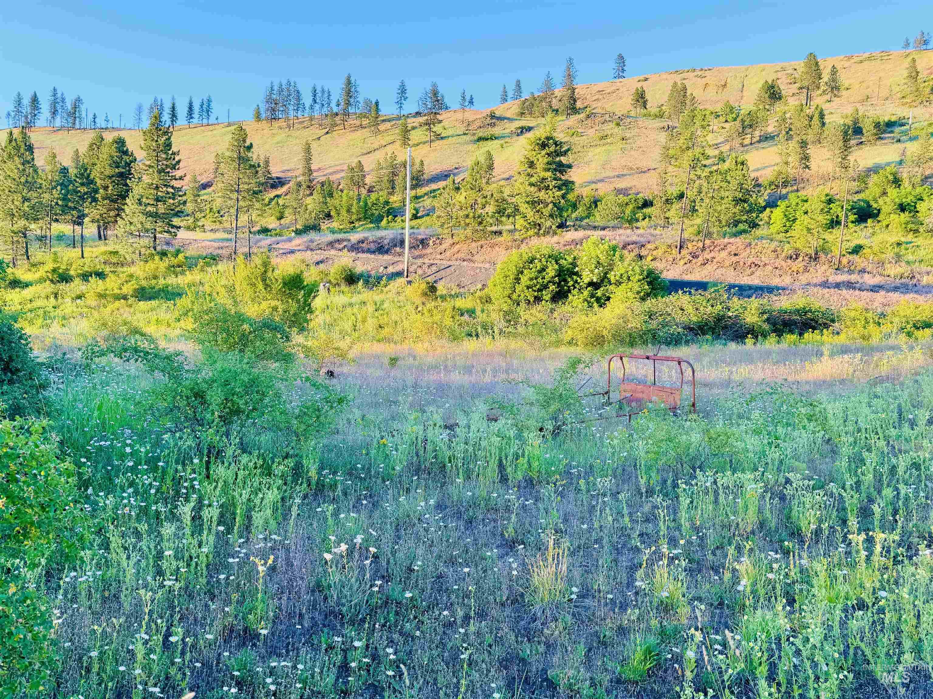 Tbd Lot #3 Beaverslide Road Kamiah, ID 83536 - Photo 17 of 25