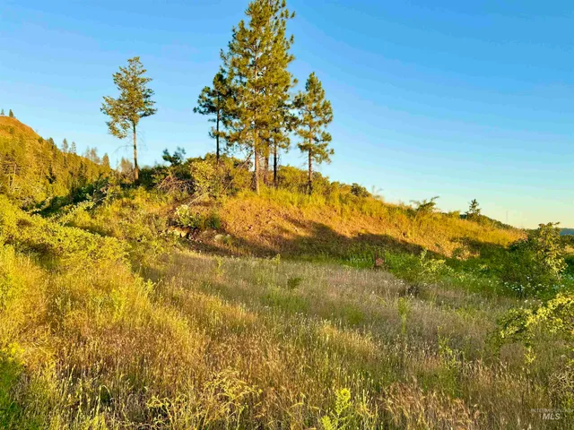$175,000 | Tbd Lot #3 Beaverslide Road, Kamiah, ID 83536
