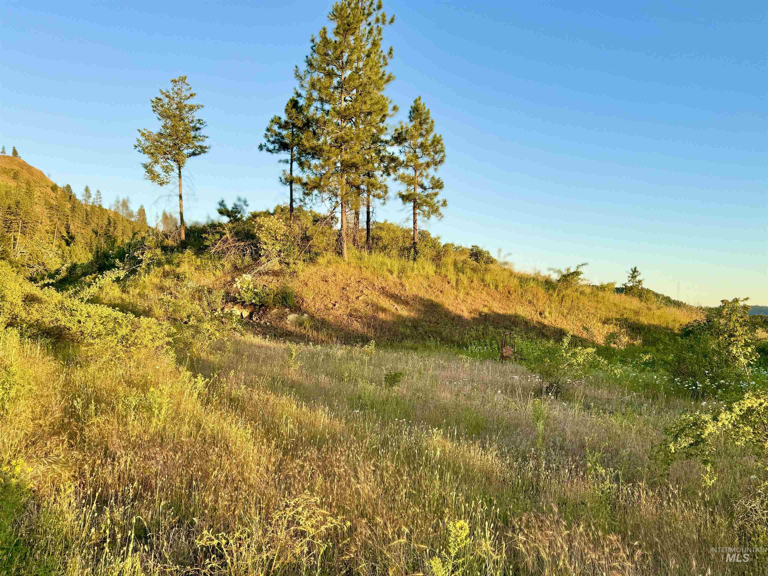 Tbd Lot #3 Beaverslide Road Kamiah, ID 83536 - Photo 18 of 25