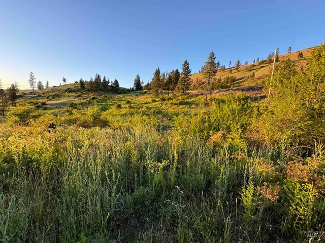 $175,000 | Tbd Lot #3 Beaverslide Road, Kamiah, ID 83536