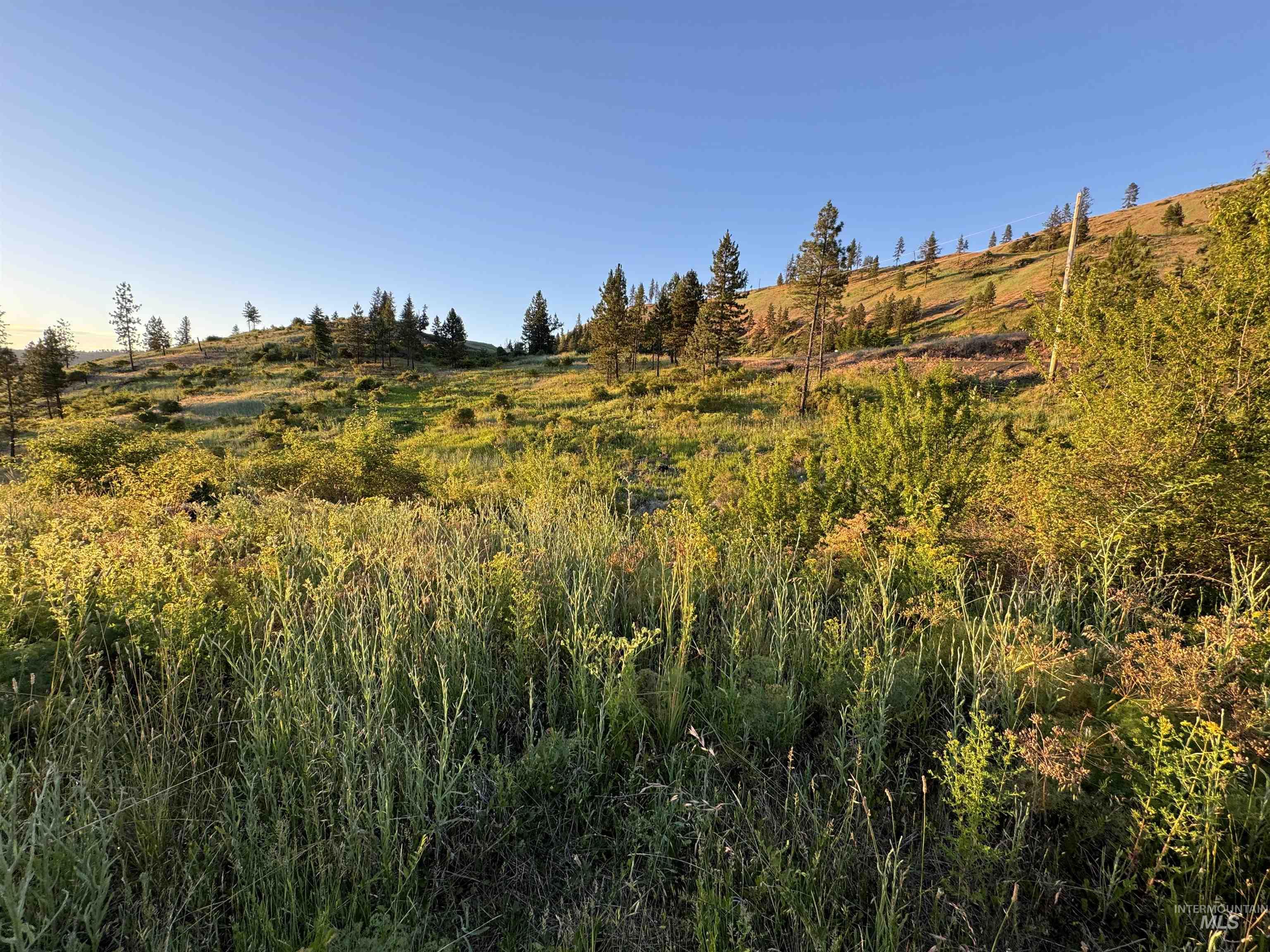 Tbd Lot #3 Beaverslide Road Kamiah, ID 83536 - Photo 19 of 25