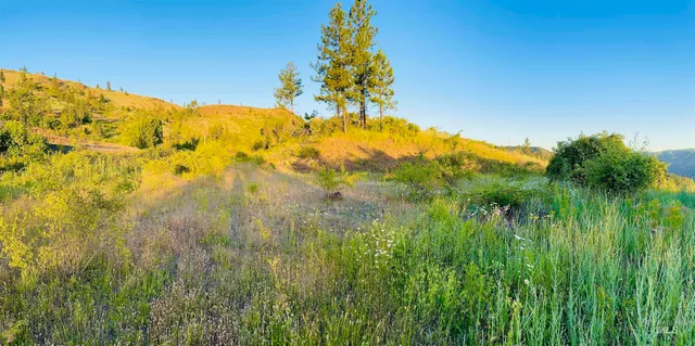 $175,000 | Tbd Lot #3 Beaverslide Road, Kamiah, ID 83536