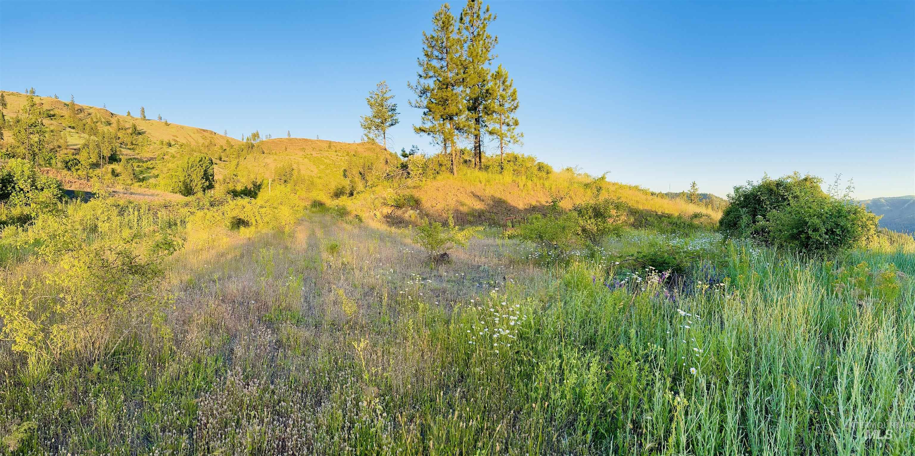 Tbd Lot #3 Beaverslide Road Kamiah, ID 83536 - Photo 21 of 25