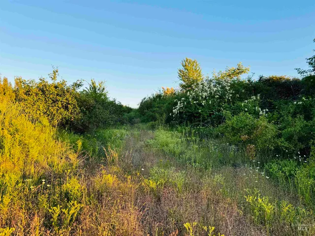 $175,000 | Tbd Lot #3 Beaverslide Road, Kamiah, ID 83536