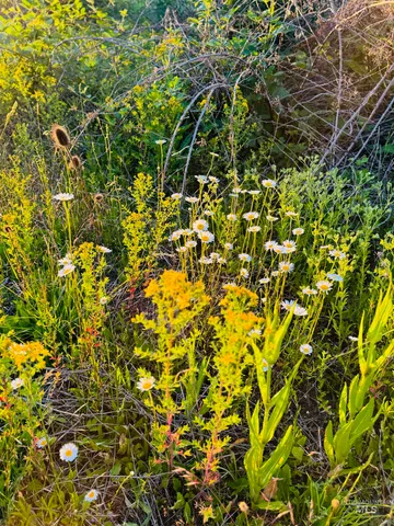 $175,000 | Tbd Lot #3 Beaverslide Road, Kamiah, ID 83536