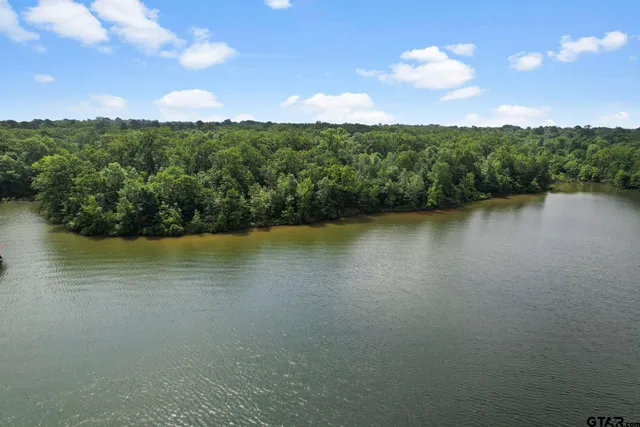 a view of a lake with houses in the back