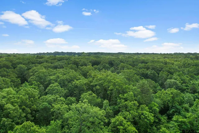 a view of a city and mountains