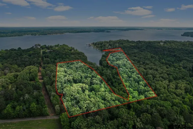 an aerial view of street and green space