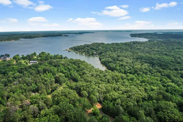 a view of a lake and a yard