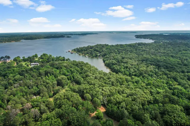 a view of a lake and a yard