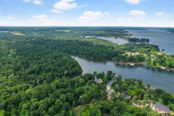 an aerial view of green landscape with trees houses and lake view
