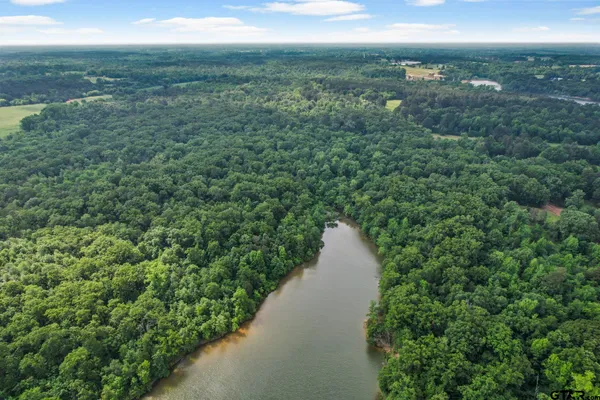 a view of a lake from a yard