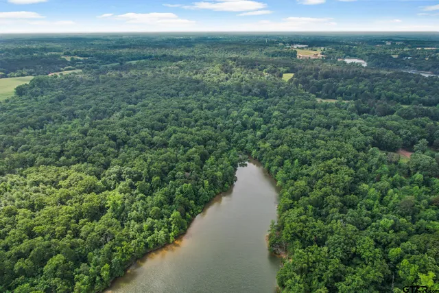 a view of a lake from a yard