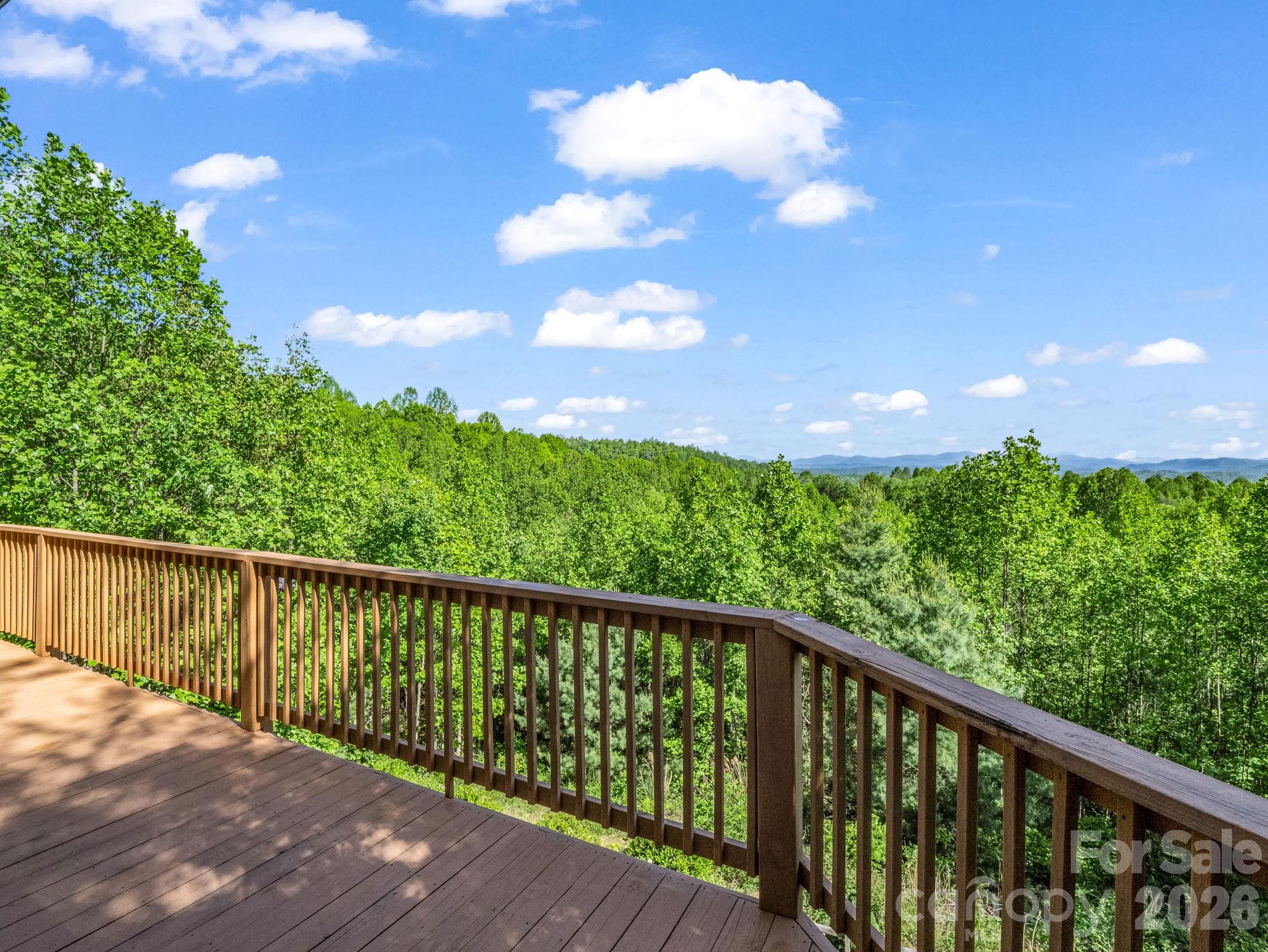 603 Pace Mountain Road Saluda, NC 28773 - Photo 37 of 44 Gallery Image 37