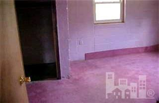 216 Eldon Thornton Road Faison, NC 28341 - Photo 7 of 8 Additional Photo