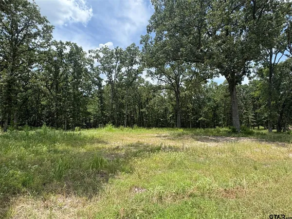 $75,000 | Lot 22 Private Road 5948, Yantis, TX 75497