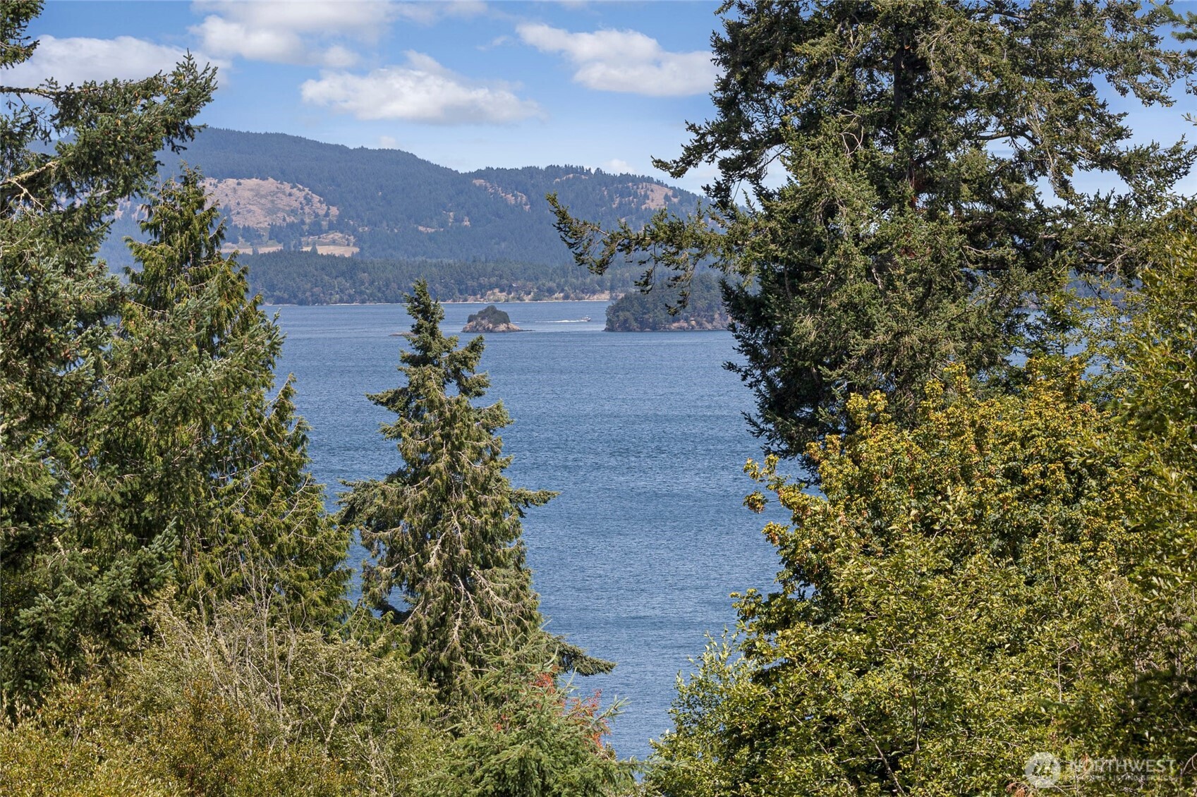 164 Bramblewood Lane Friday Harbor, WA 98250 - Photo 3 of 40