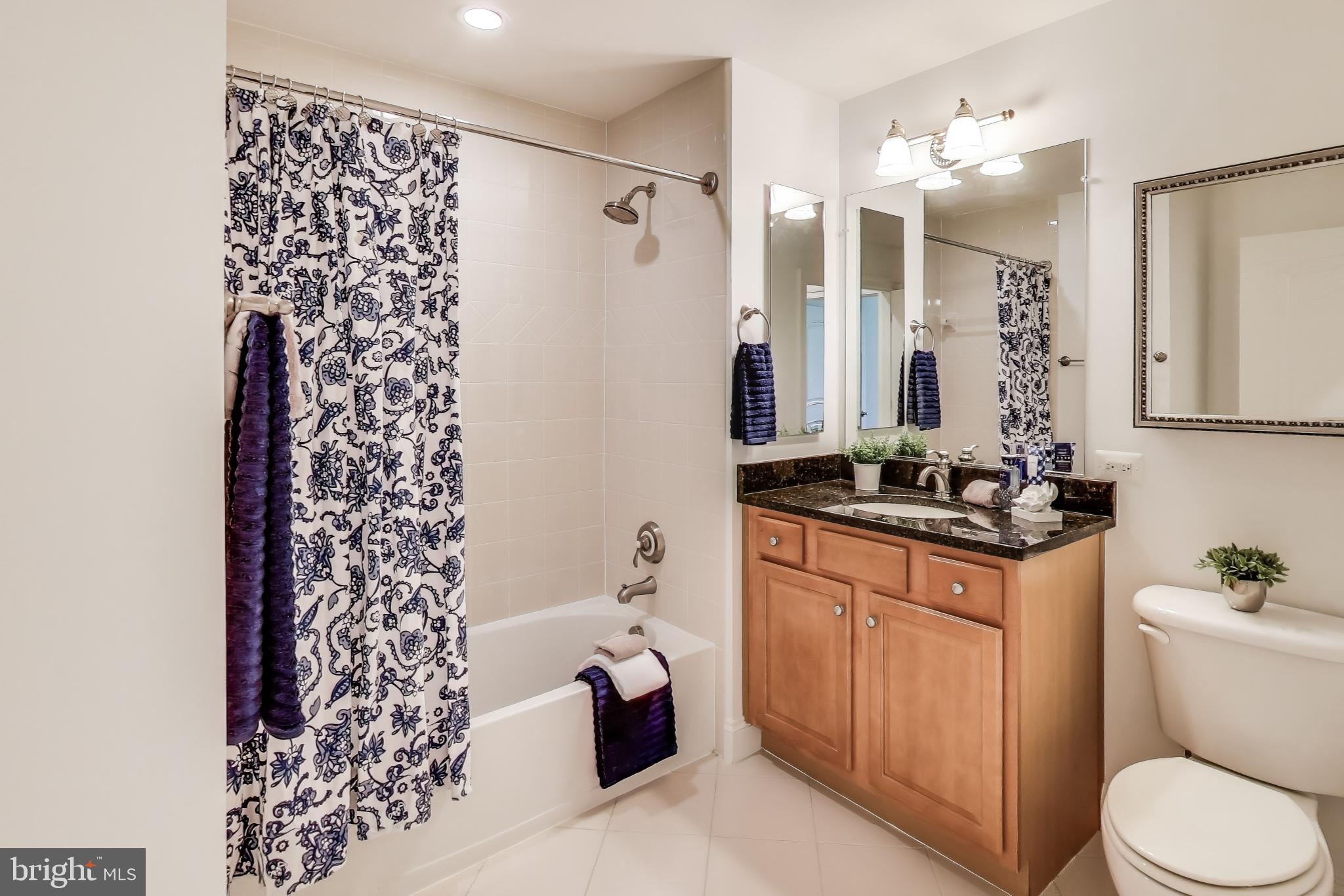 1781 Chain Bridge Road, Unit 402 McLean, VA 22102 - Photo 35 of 53 Hall bath