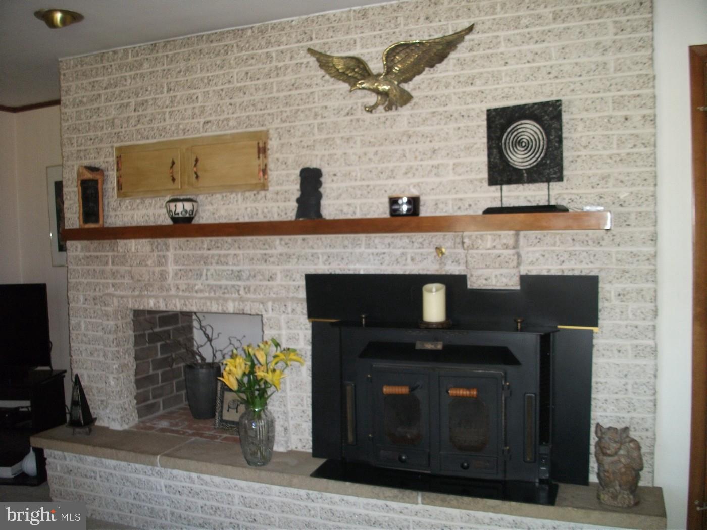 11102 Mapleville Road Hagerstown, MD 21742 - Photo 15 of 61 Wood Stove Insert