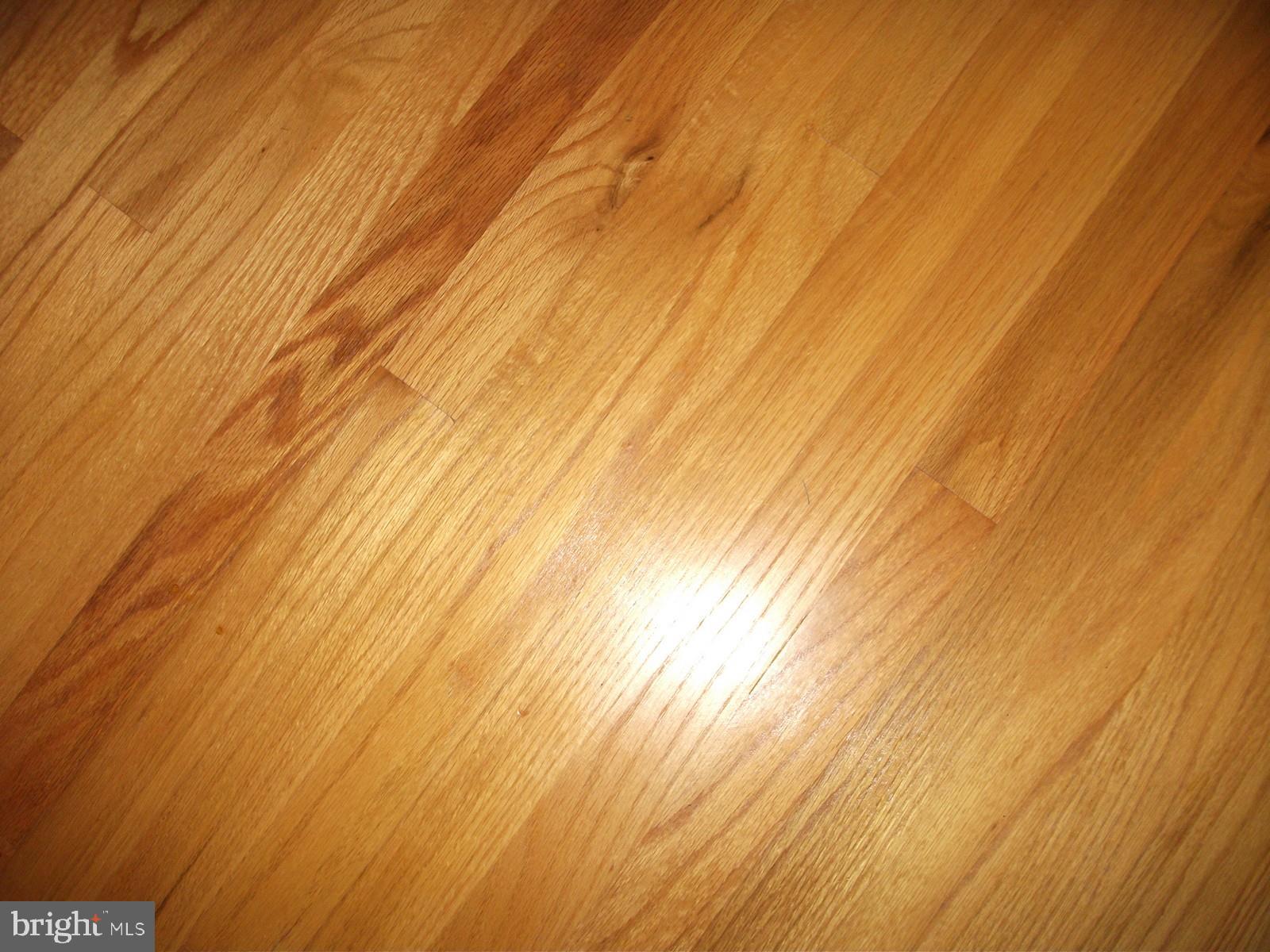 11102 Mapleville Road Hagerstown, MD 21742 - Photo 23 of 61 Hardwood Floors Throughout!