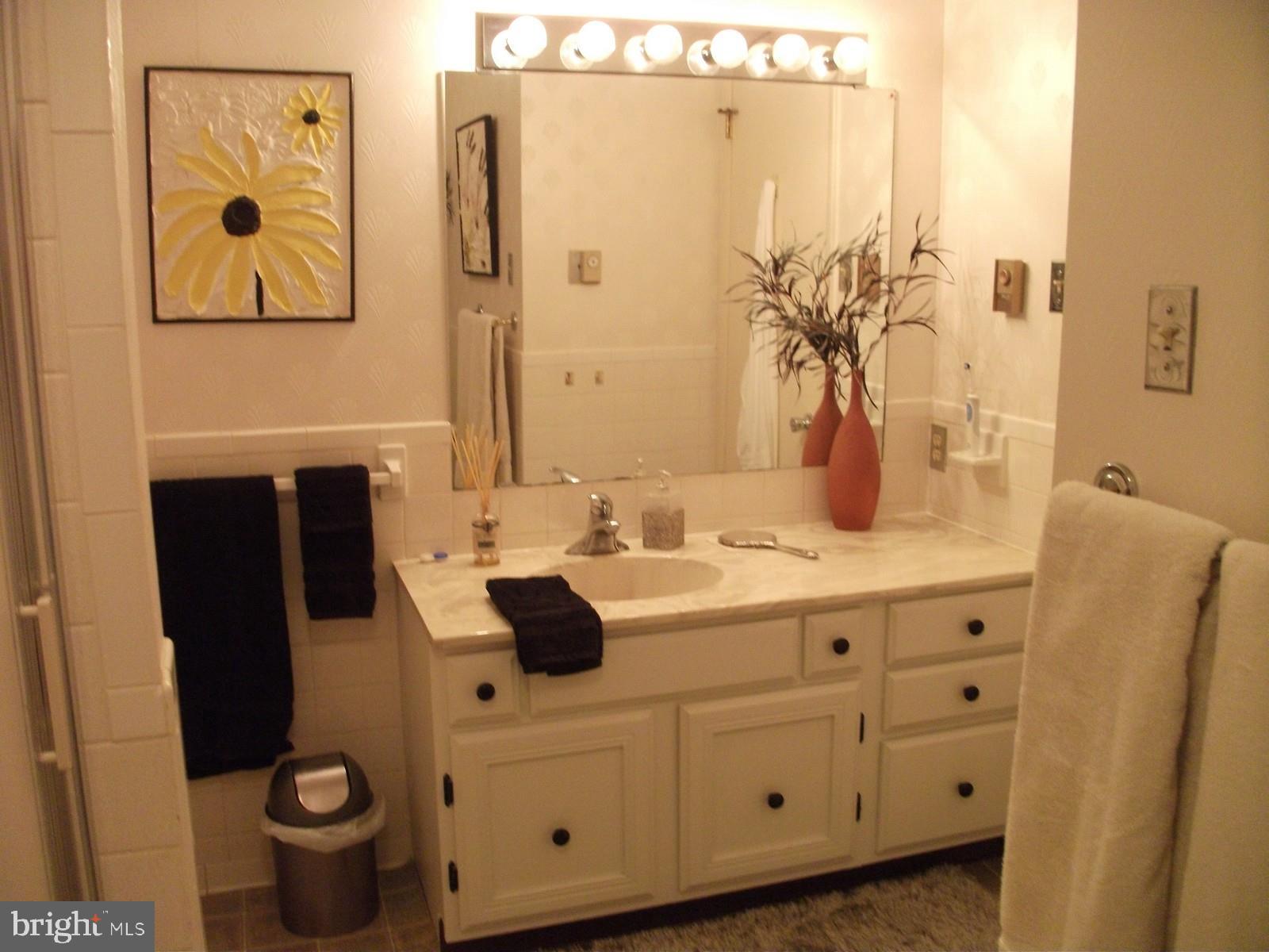 11102 Mapleville Road Hagerstown, MD 21742 - Photo 25 of 61 Hall Bath