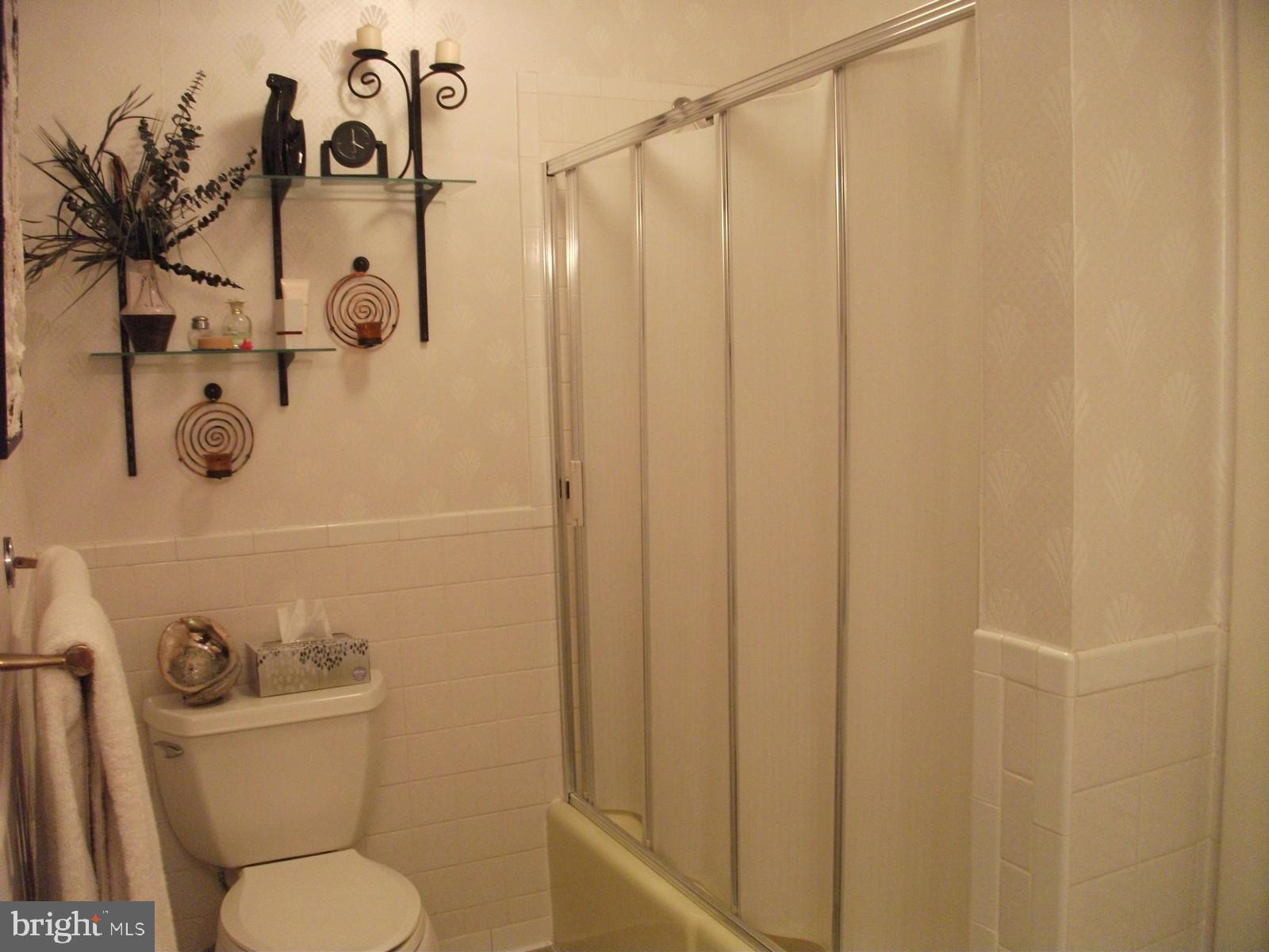 11102 Mapleville Road Hagerstown, MD 21742 - Photo 26 of 61 Hall Bath with Tub Shower