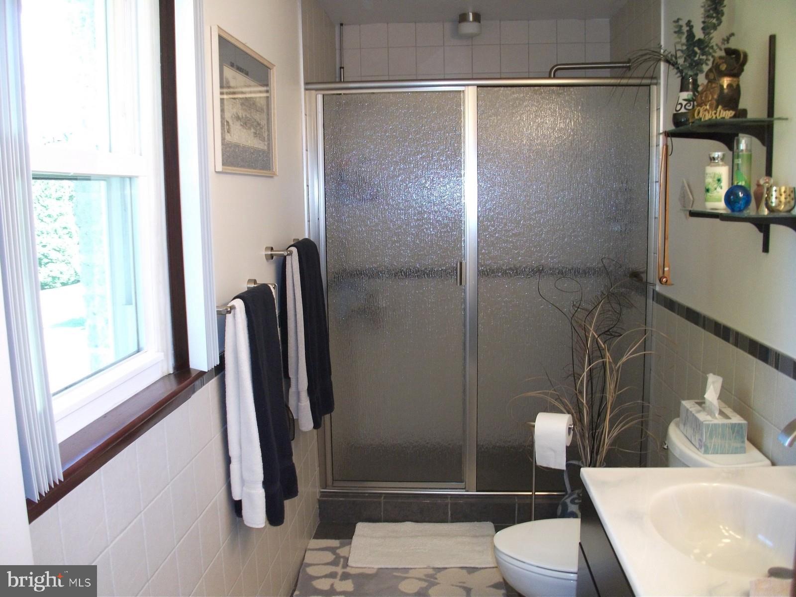 11102 Mapleville Road Hagerstown, MD 21742 - Photo 29 of 61 Master Bath with Shower Stall
