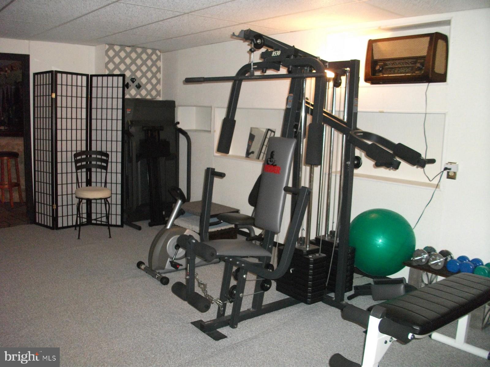 11102 Mapleville Road Hagerstown, MD 21742 - Photo 39 of 61 Exercise Room