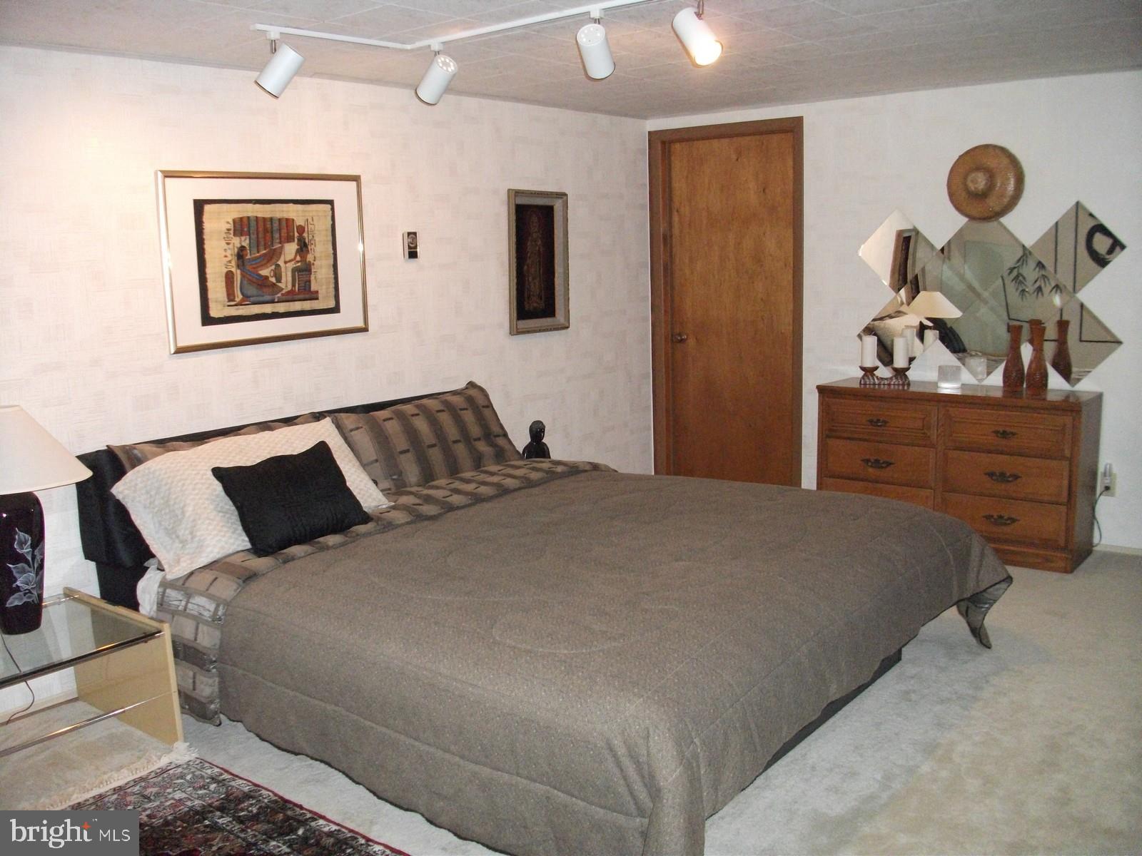 11102 Mapleville Road Hagerstown, MD 21742 - Photo 40 of 61 Lower-Level Bonus Flex Room