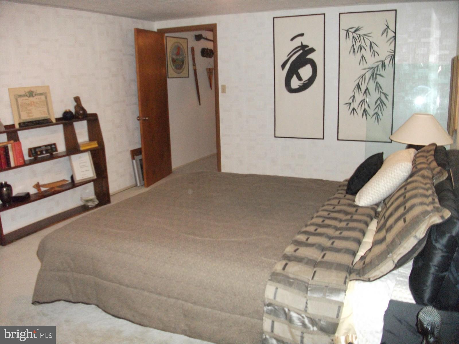11102 Mapleville Road Hagerstown, MD 21742 - Photo 41 of 61 Lower-Level Bonus Flex Room