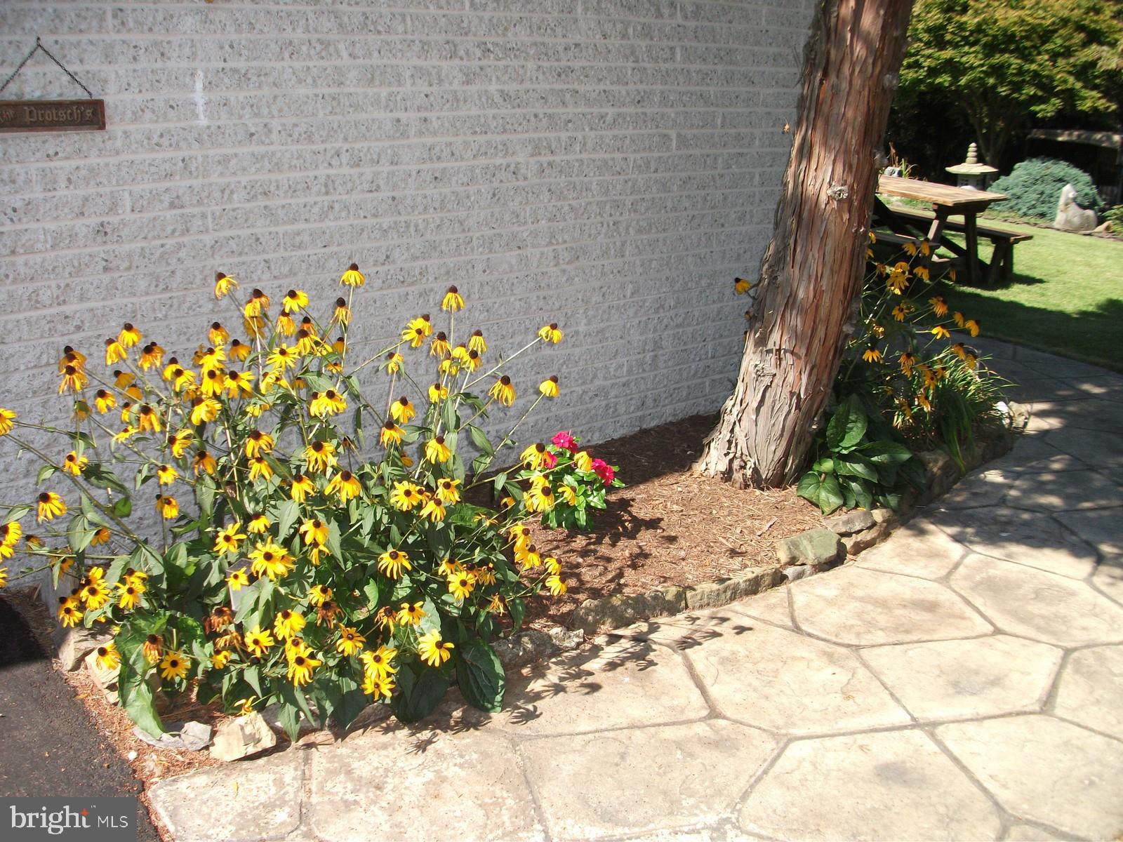 11102 Mapleville Road Hagerstown, MD 21742 - Photo 48 of 61 Gallery Image 48