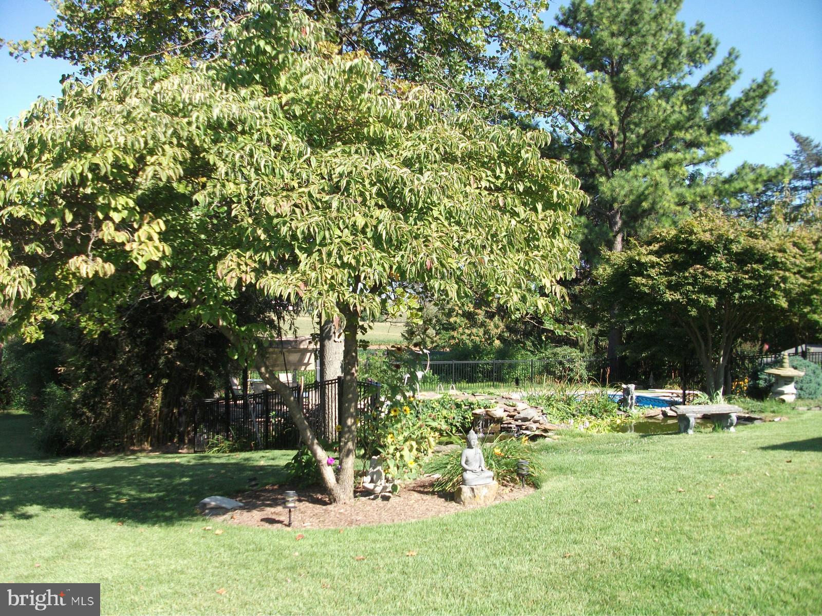 11102 Mapleville Road Hagerstown, MD 21742 - Photo 55 of 61 Backyard