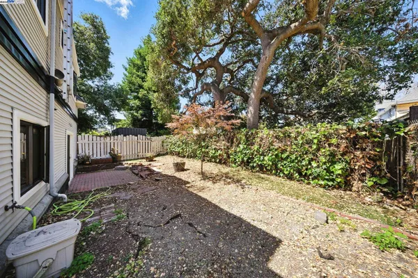 a view of a backyard with large tree