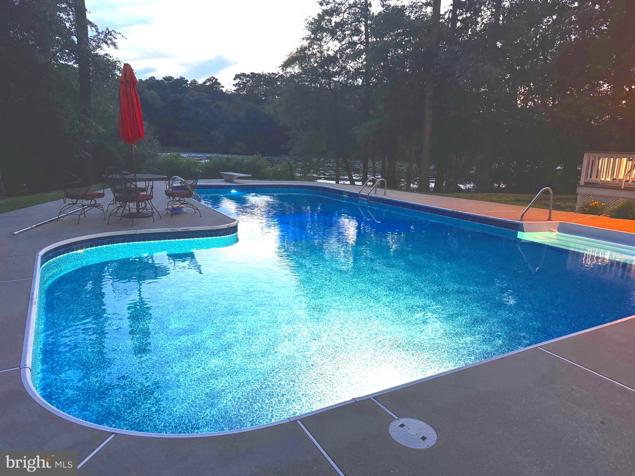 5632 Galestown - Reliance Road Rhodesdale, MD 21659 - Photo 7 of 30 swimming pool view