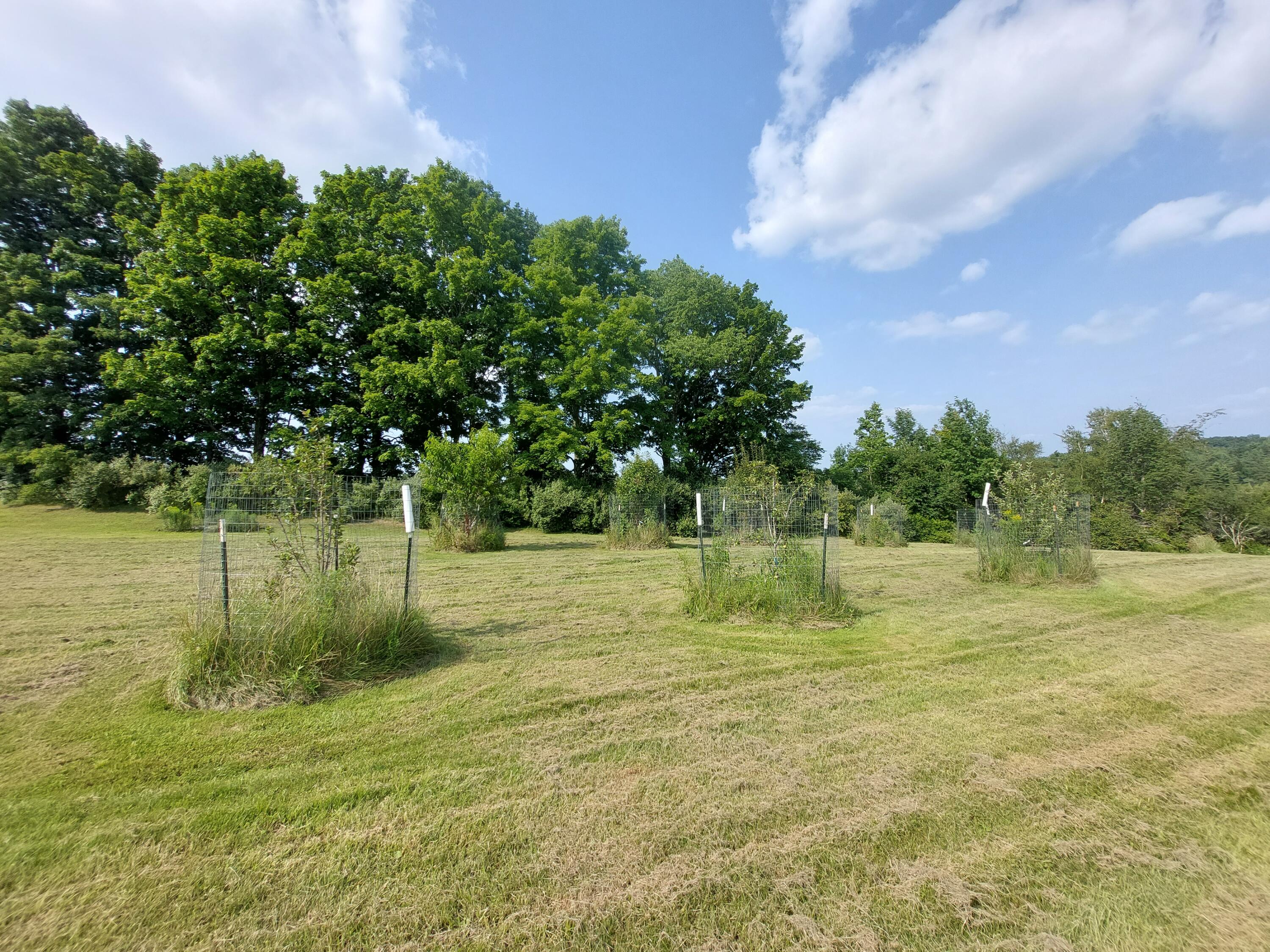 23 Alder Park Road China, ME 04358 - Photo 17 of 21 20240728_154025
