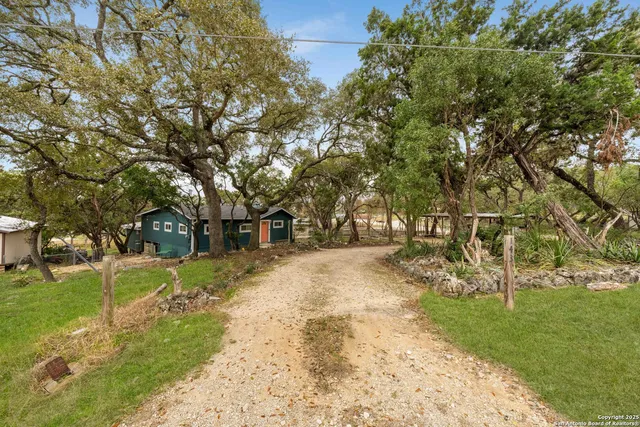 a view of a yard with plants and trees