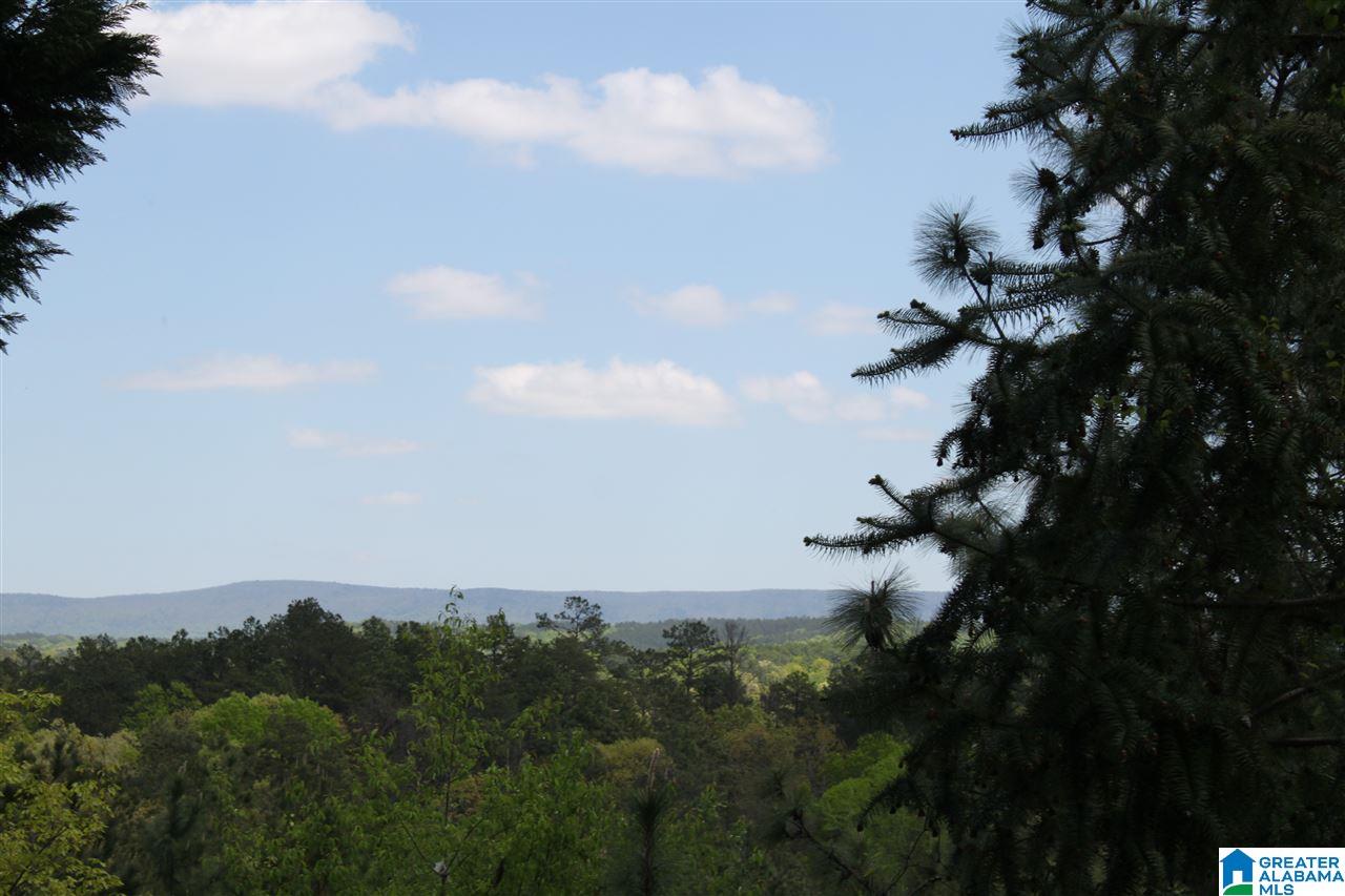 765 Wade Road Munford, AL 36268 - Photo 20 of 21