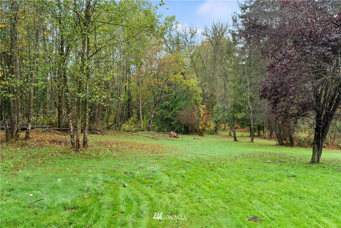 259 Sommerville Road Chehalis, WA 98532 - Photo 4 of 25 a view of a park with large trees