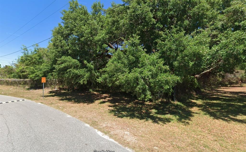 Boitnott Lane Bushnell, FL 33513 - Photo 5 of 6 a view of a yard with plants and trees